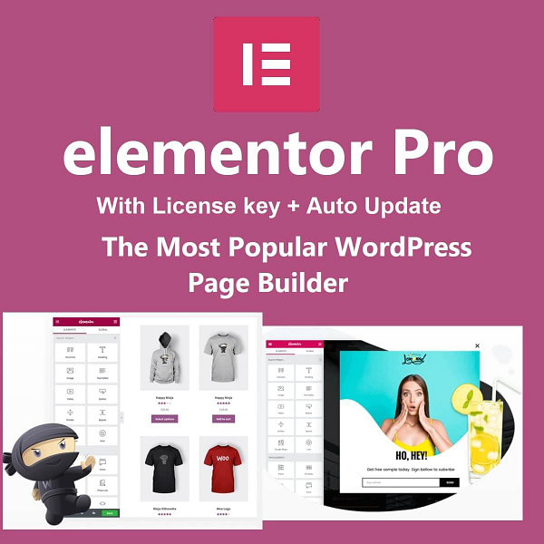 elementor pro with license key