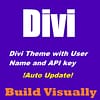 Divi Theme with User Name and API key