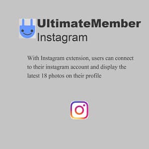 Ultimate Member Instagram, themeplanet