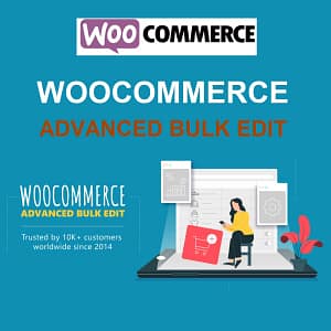 advanceD bulk edit woocommerce