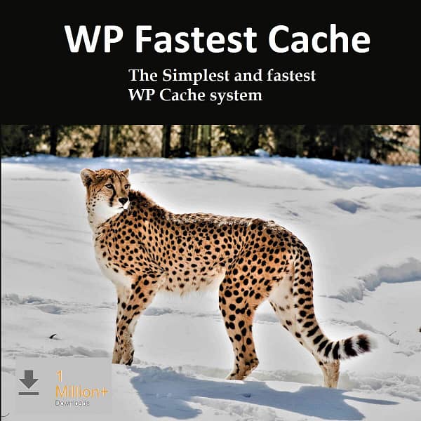 WP fastest cache, themeplanet